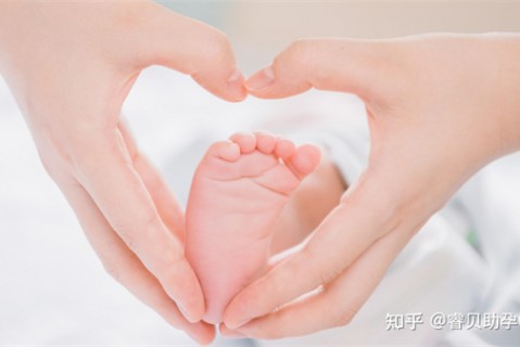 http://haerbin.51dzb.net/post/188.html|哈尔滨新闻中心